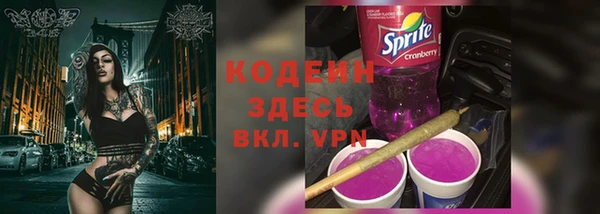 гидра Арсеньев