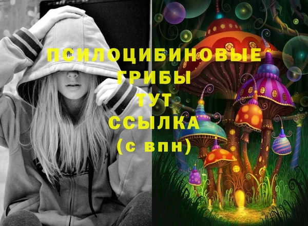 соль ск Аркадак