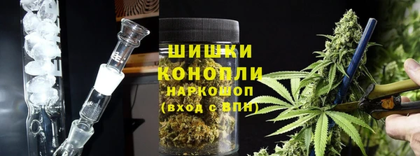 гидра Арсеньев