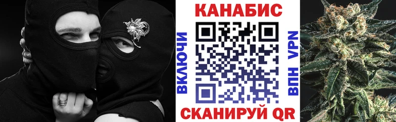 что такое   Новая Ладога  МАРИХУАНА Ganja 